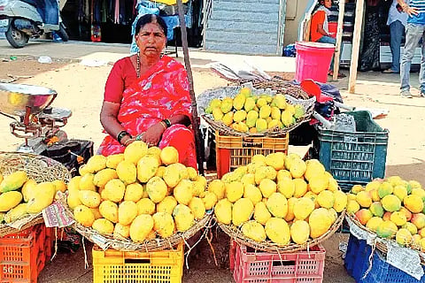 mangoes ಚಳ್ಳಕೆರೆ ನಗರದ ಪಾವಗಡ ರಸ್ತೆಯ ಬದಿಯಲ್ಲಿ ಮಾವಿನ ಹಣ್ಣು ಮಾರಾಟ ಮಾಡುತ್ತಿರುವ ಬುಡ್ನಹಟ್ಟಿ ನಿಂಗಮ್ಮ.