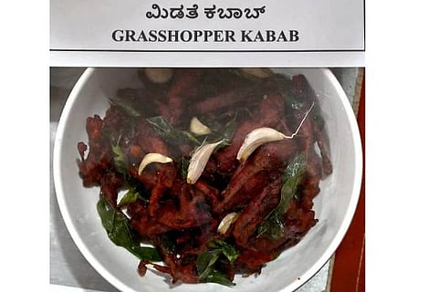 ಮಿಡತೆ ಕಬಾಬ್