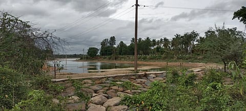 ಹೊಂಗನೂರು ಕೆರೆ