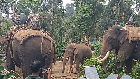 ಕೊಡಿಗಿನ ಕಾರ್ಯಾಚರಣೆಯಲ್ಲಿ ಧನಂಜಯ, ಪ್ರಶಾಂತ, ಸುಗ್ರೀವ ಭಾಗಿ