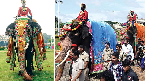 ಮಾಜಿ ಅಂಬಾರಿ ಆನೆ ಅಭಿಮನ್ಯು