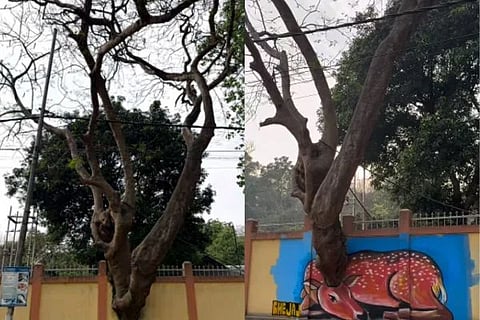 ಚಿತ್ರ Instagram