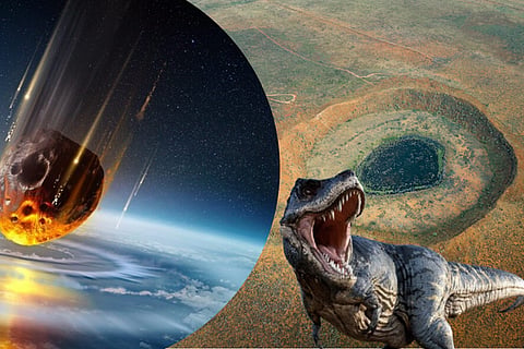 dinosaurs