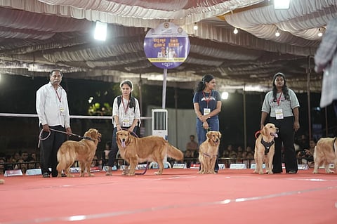 ಗಮನ ಸೆಳೆದ ಕುಡ್ಲ ಶ್ವಾನ ಪ್ರದರ್ಶನ