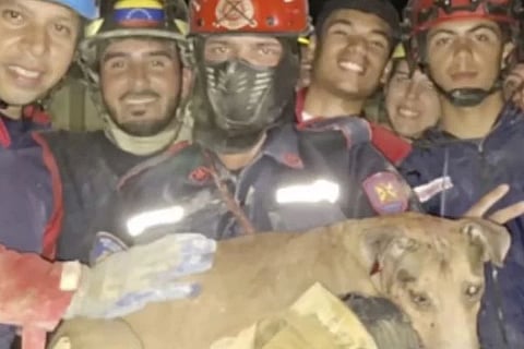 Venezuela Earthquake (ಚಿತ್ರ X)