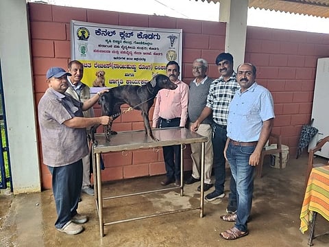 ಕೊಡಗು ಕೆನ್ನೆಲ್ ಕ್ಲಬ್ ನೇತೃತ್ವದಲ್ಲಿ, ಕರ್ನಾಟಕ ಪಶುವೈದ್ಯಕೀಯ ಸಂಘ ಹಾಗೂ ಪಶುವೈದ್ಯಕೀಯ ಇಲಾಖೆಯ ಸಹಯೋಗದಲ್ಲಿ ರೇಬಿಸ್ ವಿರುದ್ಧ ಲಸಿಕಾ ಕಾರ್ಯಕ್ರಮ ಹಾಗೂ ಜಾಗೃತಿ ಶಿಬಿರ ಗೋಣಿಕೊಪ್ಪ ಕೃಷಿ ವಿಜ್ಞಾನ ಕೇಂದ್ರದಲ್ಲಿ ನಡೆಯಿತು.