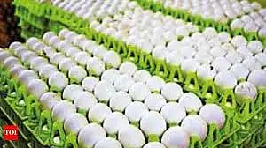 egg story