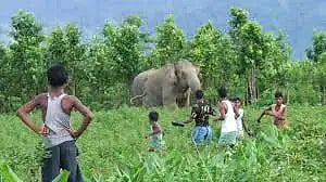 ಮಾನವ ಪ್ರಾಣಿಗಳ ಸಂಘರ್ಷ