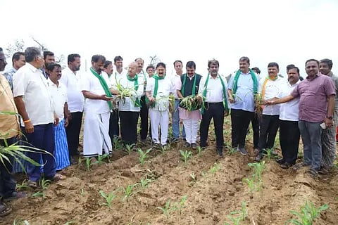 ಶಿವಮೊಗ್ಗ ತಾಲೂಕಿನ ಚಾಮೇನಹಳ್ಳಿಯ ಹೊಲವೊಂದರಲ್ಲಿ ಮೆಕ್ಕೆಜೋಳ ಬೆಳೆ ನಾಶವಾಗಿರುವುದನ್ನು ಆರಗ ಜ್ಞಾನೇಂದ್ರ, ಡಿ.ಎಸ್.ಅರುಣ್, ಸುನಿಲ್ ಕುಮಾರ್, ಎಸ್.ಎನ್.ಚನ್ನಬಸಪ್ಪ, ಗುರುರಾಜ ಗಂಟಿಹೊಳಿ ಪರಿಶೀಲಿಸಿದರು. ಎನ್.ಕೆ.ಜಗದೀಶ್, ಸಿದ್ದಲಿಂಗಪ್ಪ, ತಮ್ಮಡಿಹಳ್ಳಿ ನಾಗರಾಜ್ ಇದ್ದರು.