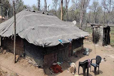 ದುಬಾರೆ ಗಿರಿಜನ ಹಾಡಿ ನಿವಾಸಿಗಳು ವಾಸ ಮಾಡುವ ಜೋಪಡಿ
