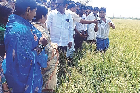 ದೇವದುರ್ಗ ತಾಲೂಕಿನ ಪರ್ತಾಪುರದಲ್ಲಿ ಆಲಿಕಲ್ಲು ಮಳೆಗೆ ಹಾನಿಯಾದ ಭತ್ತದ ಬೆಳೆಯನ್ನು ಶಾಸಕಿ ಕರೆಮ್ಮ ಜಿ.ನಾಯಕ ಪರಿಶೀಲಿಸಿದರು. ತಹಸೀಲ್ದಾರ್ ನಾಗಮ್ಮ ಕಟ್ಟಿಮನಿ, ಕೃಷಿ ಇಲಾಖೆ ಎಡಿ ಶ್ರೀನಿವಾಸ್ ನಾಯಕ, ಮುಖಂಡರಾದ ಶರಣಪ್ಪ ಬಳೆ, ಬಸನಗೌಡ ದೇಸಾಯಿ, ಅಮರೇಶ ನಾಯಕ ಇತರರಿದ್ದರು.