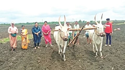 ದಾವಣಗೆರೆ ತಾಲೂಕಿನಲ್ಲಿ ಬಿತ್ತನೆಗಾಗಿ ಭೂಮಿ ಹದ ಮಾಡುತ್ತಿರುವ ರೈತ ಕುಟುಂಬ. 
