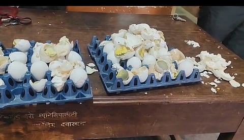 ಪೌರ ಕಾರ್ಮಿಕರಿಗೆ ಬೆಳಗಿನ ಉಪಹಾರದಲ್ಲಿ ಕಳಪೆ ಮಟ್ಟದ ಮೊಟ್ಟೆ ಪೂರೈಕೆ 