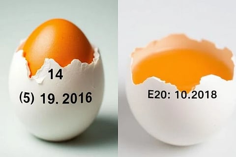 Egg Expiry Date (ಸಾಂದರ್ಭಿಕ ಚಿತ್ರ)