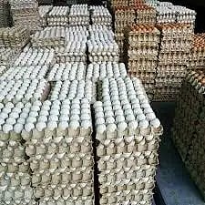 War hits poultry industry