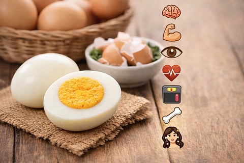 Egg