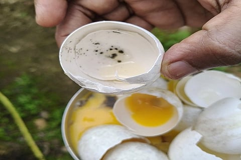  ಕರ್ಣಂಗೇರಿ ಅಂಗನವಾಡಿಯಿ0ದ ಪೂರೈಕೆ ಆದ ಹಾಳಾದ ಮೊಟ್ಟೆ