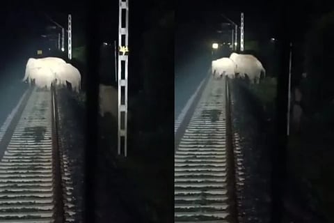 Indian Railways (ಚಿತ್ರ X)