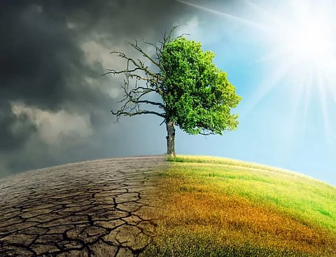 Humanity is being degraded by environmental destruction.