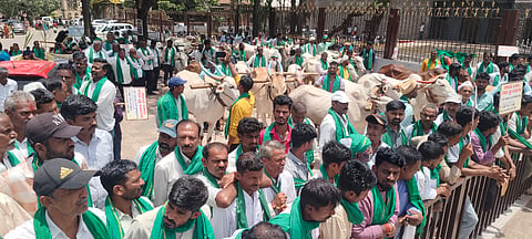  ಬೆಳಗಾವಿಯಲ್ಲಿ ಬುಧವಾರ ರೈತರು ಸೂಕ್ತ ಪರಿಹಾರಕ್ಕೆ ಆಗ್ರಹಿಸಿ ಜಾನುವಾರುಗಳ ಸಮೇತ ಪ್ರತಿಭಟನೆ ನಡೆಸಿದರು. ಬಾಲೇಶ ಮಾವನೂರೆ, ಸಂತೋಷ ಪಾಟೀಲ, ಮಲಗೌಡ ಪಾಟೀಲ, ಬಾಳೇಶ ಪಾಟೀಲ, ಉದಯ ಹಿರೇಮಠ ಇತರಿರಿದ್ದರು.