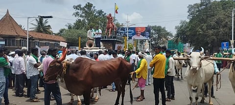 ಬೆಳಗಾವಿಯ ನೀರಾವರಿ ನಿಗಮದ ಆವರಣದಲ್ಲೇ ಜಾನುವಾರುಗಳನ್ನು ಕಟ್ಟಿ ರೈತರು ಪ್ರತಿಭಟಿಸಿದರು. 