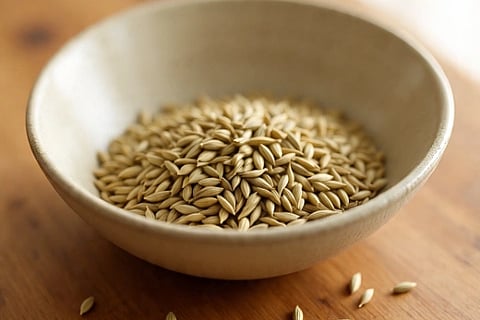 fennel seeds