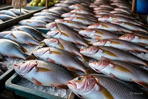 fish 