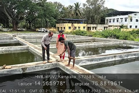 ದಾವಣಗೆರೆ ಜಿಲ್ಲೆಯ ಮೀನುಮರಿ ಪಾಲನಾ ಕೇಂದ್ರವೊಂದರ ದೃಶ್ಯ.