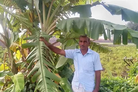 ಬಾಳೆಗಿಡದೊಂದಿಗೆ ಬಸವರಾಜ ಬೆಳವಟಗಿ