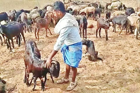 ಸಾಂದರ್ಭಿಕ ಚಿತ್ರ.