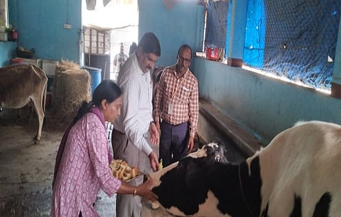 ಜಿಲ್ಲಾಧಿಕಾರಿಗಳು ಹಾಗೂ ಪ್ರಾಣಿದಯಾ ಸಂಘದ ಅಧ್ಯಕ್ಷ ಎಸ್.ಜೆ.ಸೋಮಶೇಖರ್ ಅವರು ಮಡಿಕೇರಿ ಕೆ.ನಿಡುಗಣೆ ಜಿಲ್ಲಾ ಸರ್ಕಾರಿ ಗೋಶಾಲೆಗೆ ಅನಿರೀಕ್ಷಿತ ಭೇಟಿ ನೀಡಿ ಪರಿಶೀಲಿಸಿದರು. ಲಿಂಗರಾಜ ದೊಡ್ಡಮನಿ, ಎಂ.ಸಿ.ಲತಾ ಇದ್ದರು.