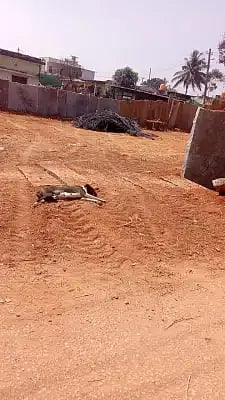 ಕೋಲಾರ ತಾಲೂಕಿನ ಚನ್ನಸಂದ್ರ ಗ್ರಾ.ಪಂ ವ್ಯಾಪ್ತಿಯಲ್ಲಿರುವ ಸರ್ಕಾರಿ ಜಾಗ
