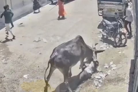 Bull Attack (ಚಿತ್ರ X)