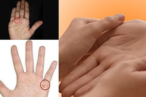 Palmistry wealth signs 