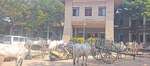 ಹುನಗುಂದ ತಹಸೀಲ್ದಾರ ಕಚೇರಿ ಎದುರು ಚಿಕ್ಕಬಾದವಾಡಗಿ ಗ್ರಾಮಸ್ಥರು ಎತ್ತಿನ ಬಂಡಿಗಳ ಸಮೇತ ಮಂಗಳವಾರ ಪ್ರತಿಭಟನೆ ನಡೆಸಿದರು. ಮುಖಂಡರಾದ ಬಸವರಾಜ ಹೊರಕೇರಿ, ಪರನಗೌಡ ಪಾಟೀಲ, ಸಂಗಪ್ಪ ಗೋಡಿ, ಸಂಗನಬಸಪ್ಪ ಉಪನಾಳ ಇತರರಿದ್ದರು.