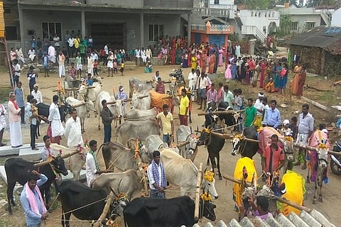 ಯುಗಾದಿ ಹಬ್ಬದ ಅಂಗವಾಗಿ ಹೊನ್ನಾರು ಉತ್ಸವದಲ್ಲಿ ಪಾಲ್ಗೊಳ್ಳಲು ಜಾನುವಾರುಗಳೊಂದಿಗೆ ಊರಿನ ದೇವಾಲಯ ಬಳಿ ಸೇರಿರುವ ರೈತರು (ಸಂಗ್ರಹ ಚಿತ್ರ)