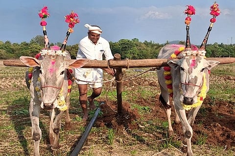 ಯುಗಾದಿ ಹಿನ್ನೆಲೆಯಲ್ಲಿ ಹುಲುಸೆ ಗ್ರಾಮದಲ್ಲಿ ರೈತರು ಮೊದಲ ಉಳುಮೆಗೆ ಚಾಲನೆ ನೀಡಿ ಸಂಭ್ರಮಿಸಿದರು.