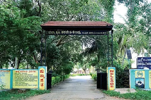  ಬಬ್ಬೂರು ಕೃಷಿ ವಿಜ್ಞಾನ-ಸಂಶೋಧನಾ ಕೇಂದ್ರ.