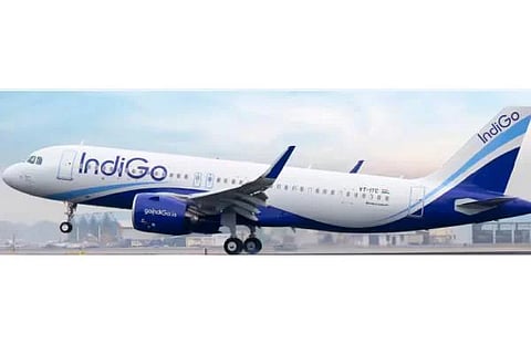IndiGo