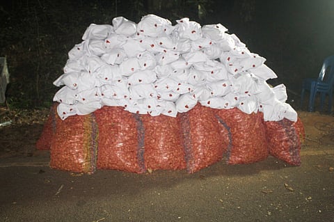  ವಶಪಡಿಸಿಕೊಳ್ಳಲಾದ ಗಾಂಜಾ.