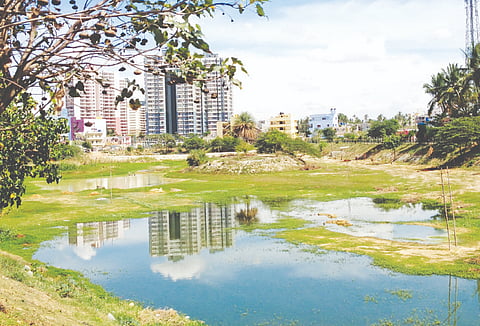 ಜಲಮಂಡಳಿ