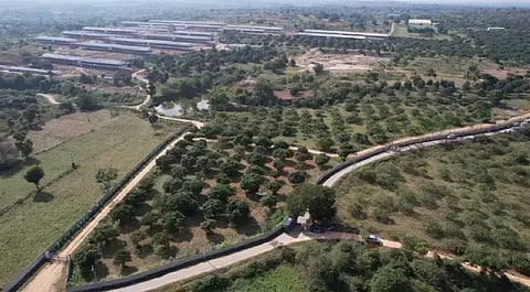 ಜಿಂಗಾಲಕುಂಟೆ ಅರಣ್ಯ