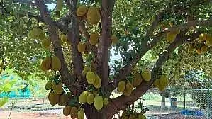 ಸಾಂದರ್ಭಿಕ ಚಿತ್ರ