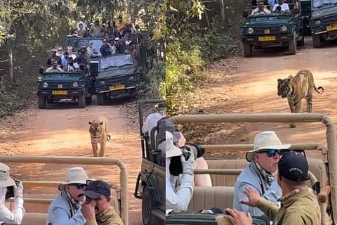 Ranthambore Safari (ಚಿತ್ರ Instagram)