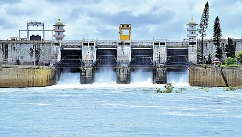 kabini