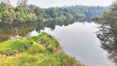  ಕುಮಾರಧಾರ ನದಿ