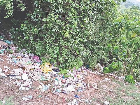 ಆನೆಗುಂಡಿ ಬಳಿ ಸುರಿದಿರುವ ಕಸದ ರಾಶಿ.