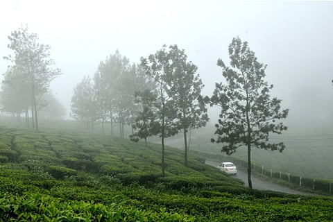 kerala Monsoon Arrival