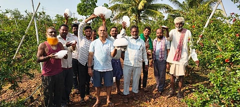 ಕಲಾದಗಿ ಭಾಗದಲ್ಲಿ ದಾಳಿಂಬೆಗೆ ಆಲಿಕಲ್ಲುಗಳೊಂದಿಗೆ ನಷ್ಟಕ್ಕೊಳಗಾದ ರೈತರು