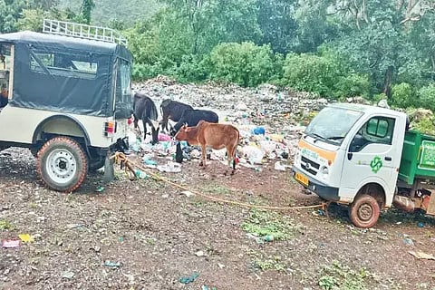 ಜಾಂಬಳೆ ಗ್ರಾಮದಲ್ಲಿ ಸಂಸೆ ಗ್ರಾಪಂನ ಕಸ ಸುರಿಯುತ್ತಿರುವುದು.